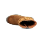062 304 C Camel5_1-5